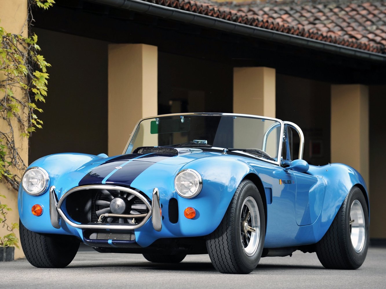 AC Cobra 1990 - 2001