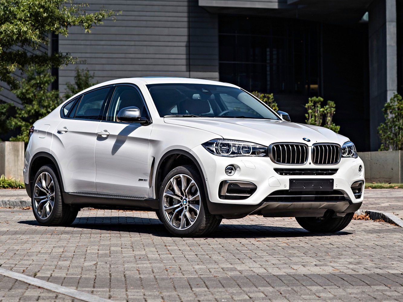 BMW X6 2014 - 2016