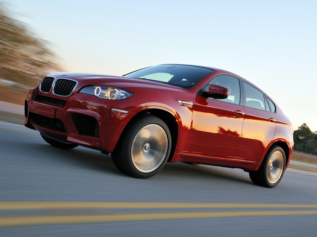 BMW X6 M 2009 - 2012