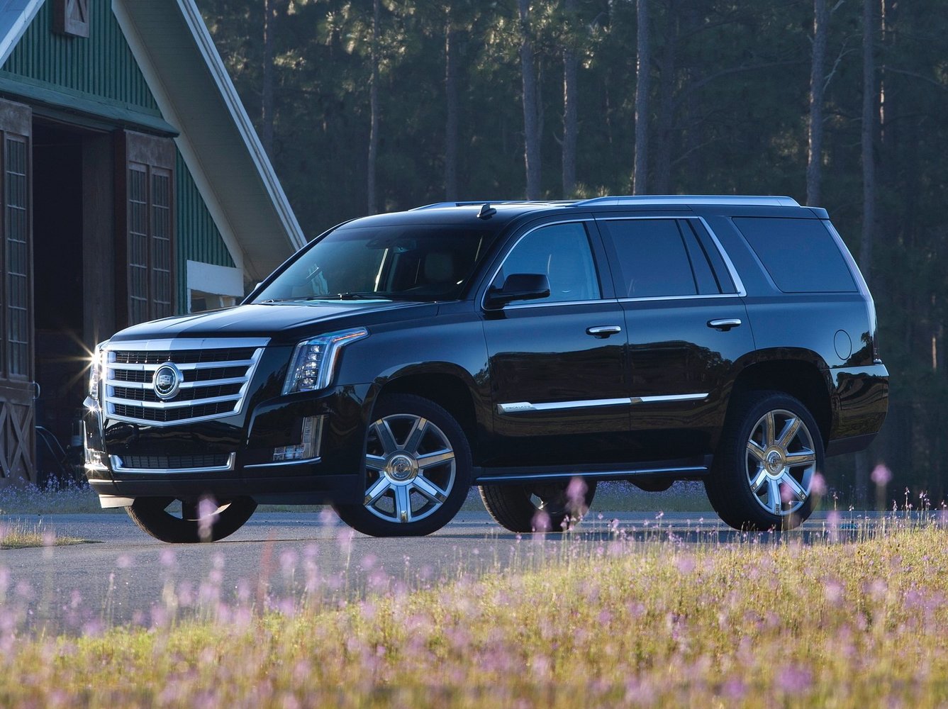 Cadillac Escalade 2015 - 2016