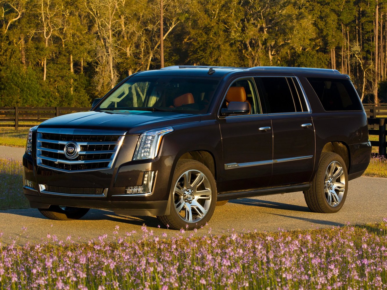 Cadillac Escalade 2015 - 2016