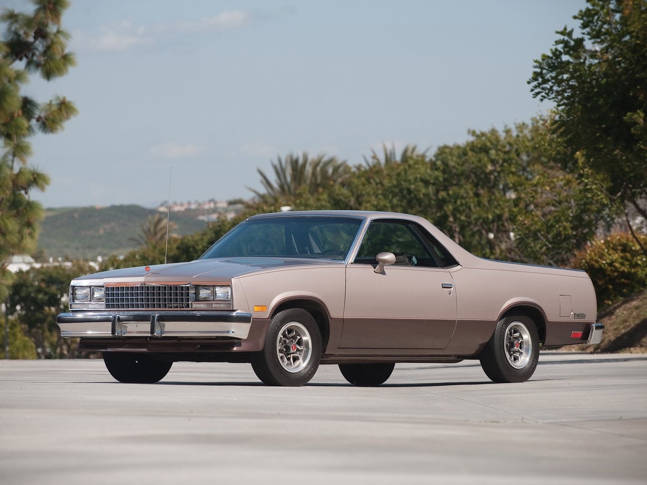 Chevrolet El Camino 1978 - 1987
