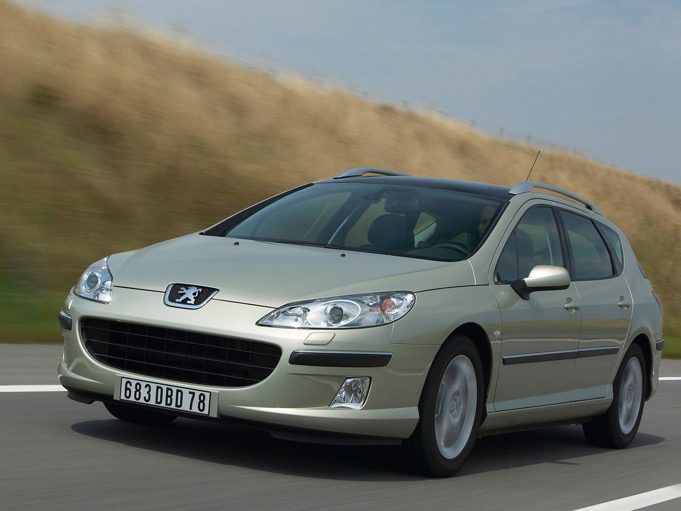 Peugeot 407 2004 - 2010