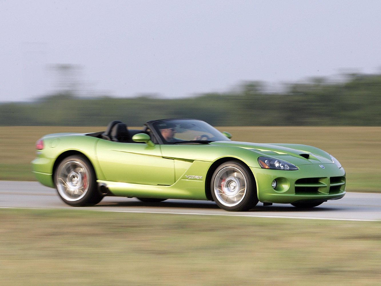 viper