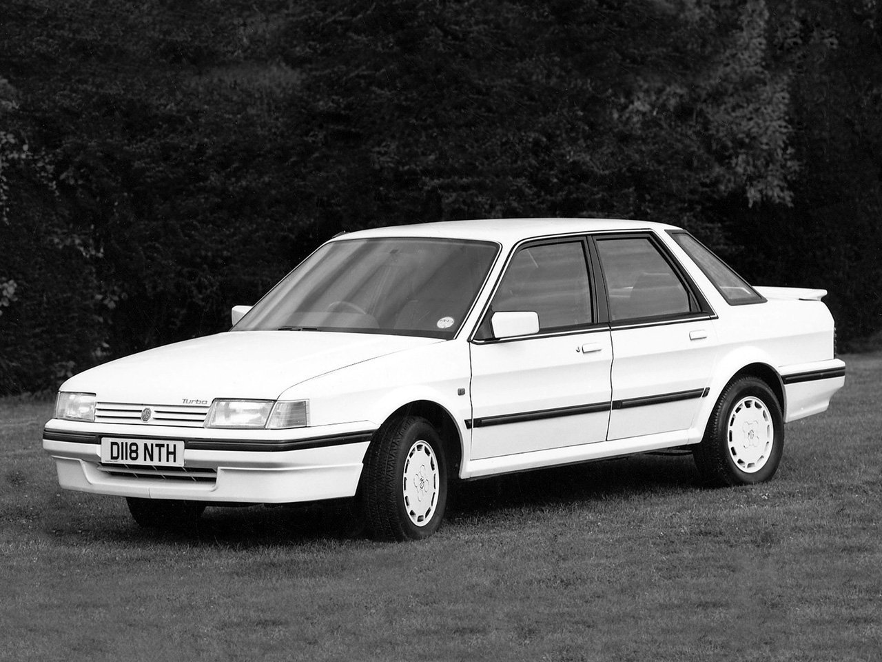 montego