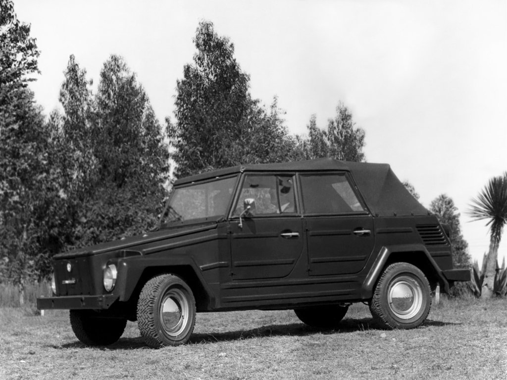 volkswagen Volkswagen 181